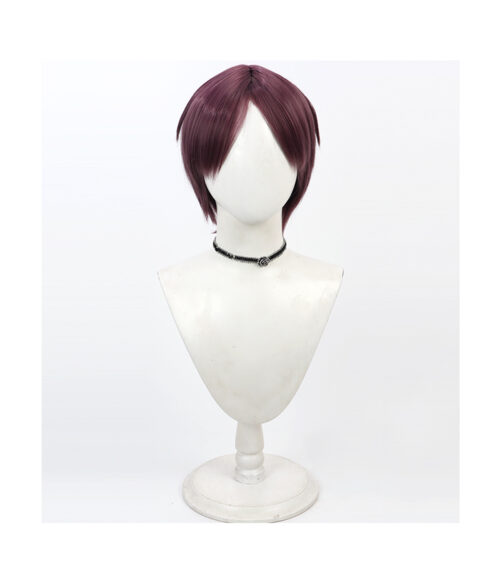 Cosplay Wig Compatible with Goukon ni Ittara Onna ga Inakatta Hanashi 萩 はぎ Character Wig Halloween props Suitable for role-playing Heat Resistant Stylable Multiple Bright Colors Gift for Comic Exhibition Enthusiasts Holiday