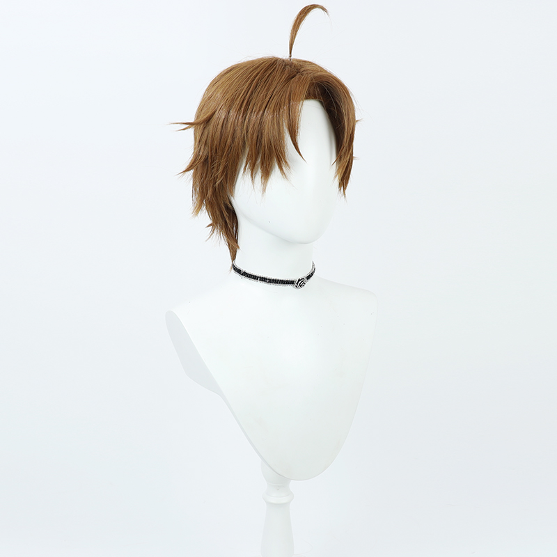 Cosplay Wig Compatible with Mushoku Tensei:Jobless Reincarnation Rudeus Greyrat Character Wig Halloween props Suitable for role-playing Heat Resistant Stylable Multiple Bright Colors Gift for Comic Exhibition Enthusiasts Holiday - Image 5