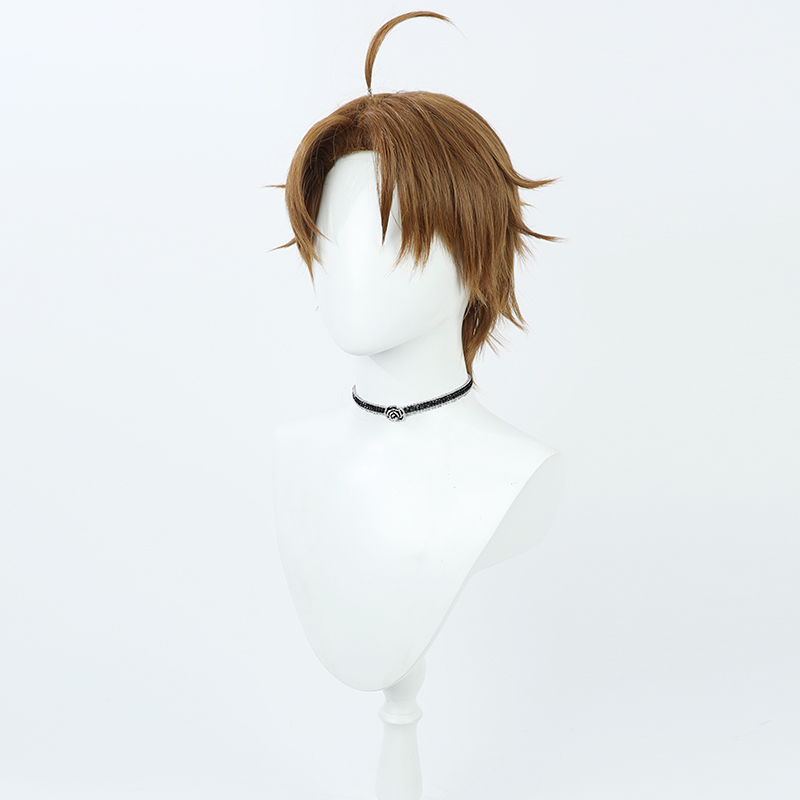 Cosplay Wig Compatible with Mushoku Tensei:Jobless Reincarnation Rudeus Greyrat Character Wig Halloween props Suitable for role-playing Heat Resistant Stylable Multiple Bright Colors Gift for Comic Exhibition Enthusiasts Holiday - Image 4