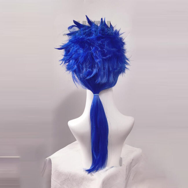 Cosplay Wig Compatible with Fate Grand Order FGO Cú Chulainn Character Wig Suitable for role-playing Heat Resistant Stylable Multiple Bright Colors Gift for Comic Exhibition Enthusiasts Holiday - Image 2