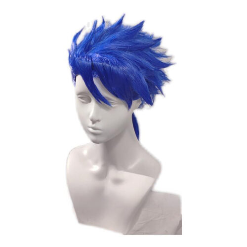 Cosplay Wig Compatible with Fate Grand Order FGO Cú Chulainn Character Wig Suitable for role-playing Heat Resistant Stylable Multiple Bright Colors Gift for Comic Exhibition Enthusiasts Holiday