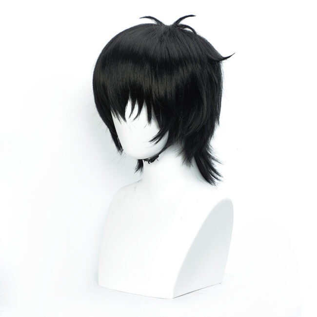 Cosplay Wig Compatible with Gin Tama Hijikata Toushirou Character Wig Halloween props Suitable for role-playing Heat Resistant Stylable Multiple Bright Colors Gift for Comic Exhibition Enthusiasts Holiday - Image 2