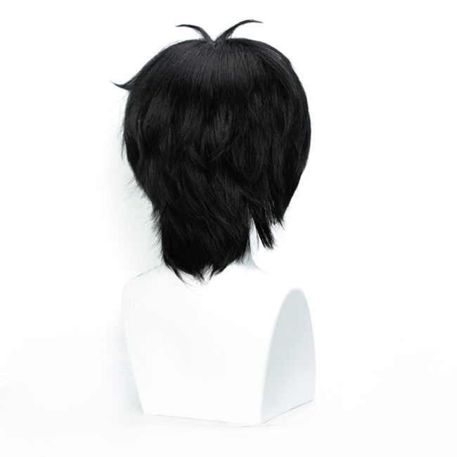 Cosplay Wig Compatible with Gin Tama Hijikata Toushirou Character Wig Halloween props Suitable for role-playing Heat Resistant Stylable Multiple Bright Colors Gift for Comic Exhibition Enthusiasts Holiday - Image 3