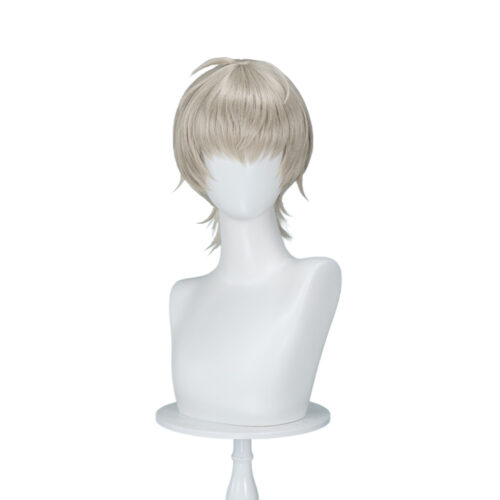 Cosplay Wig Compatible with Metaphor: ReFantazio 斯特罗尔 Character Wig Halloween props Suitable for role-playing Heat Resistant Stylable Multiple Bright Colors Gift for Comic Exhibition Enthusiasts Holiday