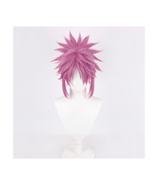 Cosplay Wig Compatible with HUNTER×HUNTER Maki Character Wig Halloween props Suitable for role-playing Heat Resistant Stylable Multiple Bright Colors Gift for Comic Exhibition Enthusiasts Holiday