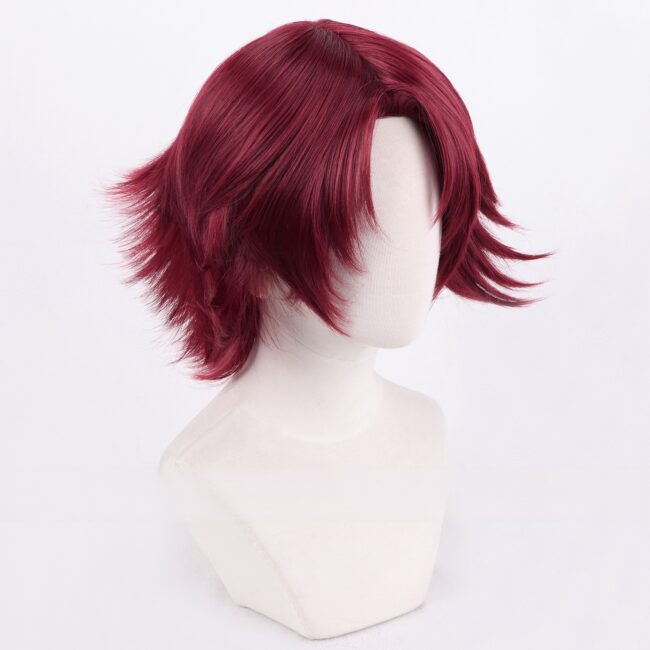 Cosplay Wig Compatible with THE PRINCE OF TENNIS hikumaru eji Character Wig Halloween props Suitable for role-playing Heat Resistant Stylable Multiple Bright Colors Gift for Comic Exhibition Enthusiasts Holiday - Image 2