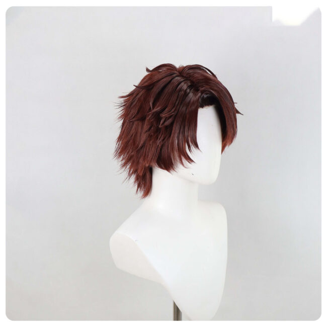 Cosplay Wig Compatible with Limbus Company Heathcliff Character Wig Halloween props Suitable for role-playing Heat Resistant Stylable Multiple Bright Colors Gift for Comic Exhibition Enthusiasts Holiday - Image 2