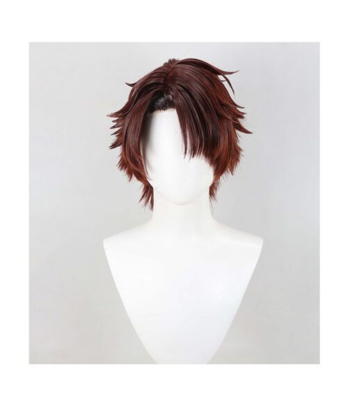Cosplay Wig Compatible with Limbus Company Heathcliff Character Wig Halloween props Suitable for role-playing Heat Resistant Stylable Multiple Bright Colors Gift for Comic Exhibition Enthusiasts Holiday