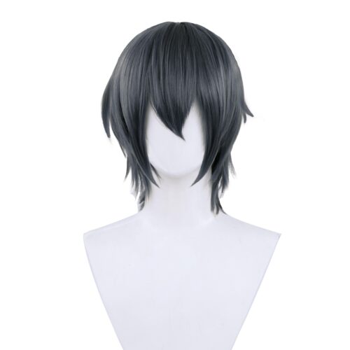 Cosplay Wig Compatible with ツルネ ―風舞高校弓道部― Takehaya Seiya Character Wig Halloween props Suitable for role-playing Heat Resistant Stylable Multiple Bright Colors Gift for Comic Exhibition Enthusiasts Holiday